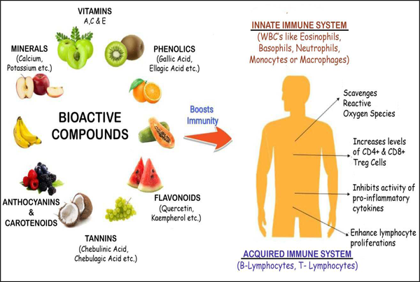 scientific review of superfoods and their health benefits